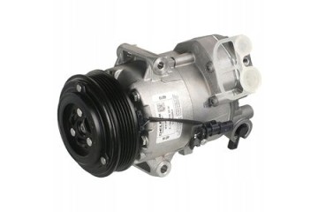 Air conditioning compressors spring DELPHI TSP0155989 Car type cargo vans passenger cars