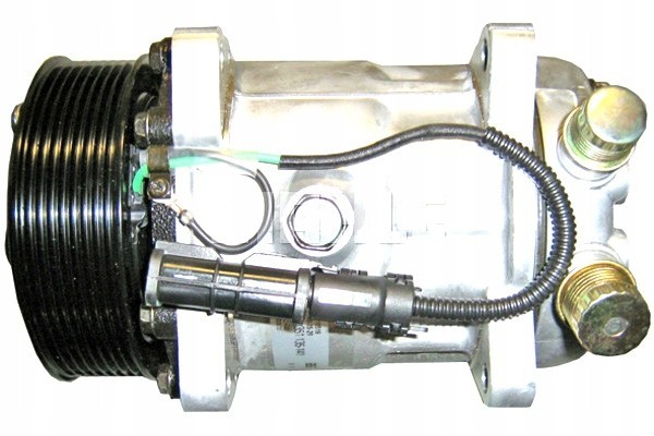Compresor de aire acondicionado Mahle ACP 111 000S