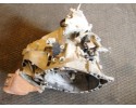 Transmission Ford Mondeo MK4 2 0 TDCI 7G9R7002YF