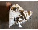 Transmission Ford Mondeo MK4 2 0 TDCI 7G9R7002YF Packaging status replacement