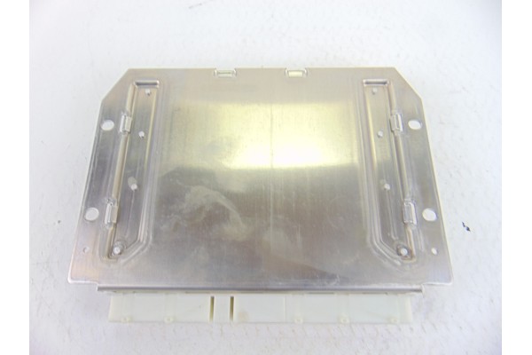 0295454232 MODULO ELECTRONICO MERCEDES-BENZ CLASE A (BM 168)