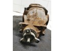 2004 Mercedes Benz E W211 Rear differential A2303510105