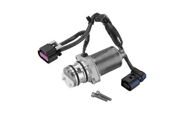 BorgWarner DS2004444 Pump lamellar clutch