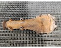 BRIDGE DYFER REAR 2 0 PETROL SUBARU FORESTER III 3 SH