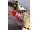 GEARBOX PEUGEOT CITROEN C4 CACTUS 1 2 THP 20ET25 Product weight 0 kg