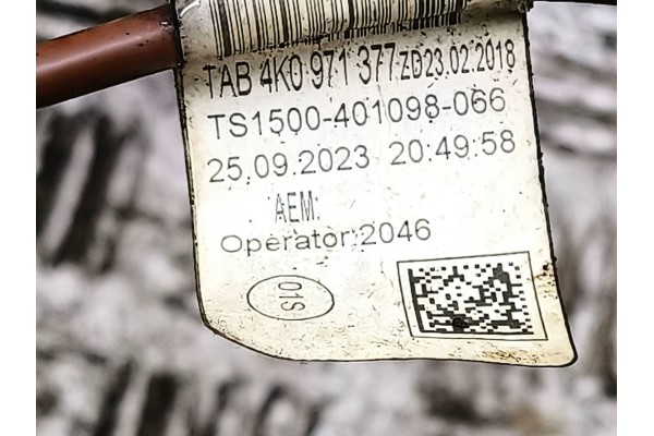 Diferencial trasero Audi A6 S6 C8 4K 09R500043C