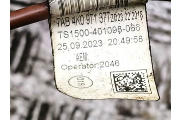Diferencial trasero Audi A6 S6 C8 4K 09R500043C