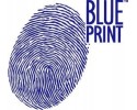 ADT33506 BLP FLYWHEEL TOYOTA AVENSIS COROLLA 2 0 D 4D 99 07 BLUE Part manufacturer Blue Print