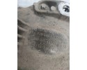 2006 Mercedes Benz E W211 Rear differential A2303510805 Car type passenger cars