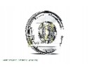 FLYWHEEL 415 0980 09 LUK SKODA VW