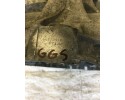 AUDI A4 B6 A4B6 B7 AUTOMATIC TRANSMISSION GGS 2 0 DAMAGED Catalog number of the original AUDI A4 B6 A4B6 B7 SKRZYNIA BIEGOW