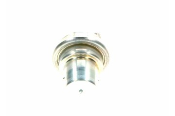 Fuel pump pressure accumulator EAN GTIN 3165141985535