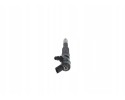 Diesel fuel injector Bosch 0 445 110 266 Catalog number of the part 0 445 110 266
