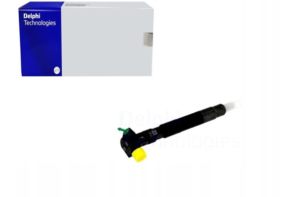 Inyector Delphi EMBR 00002D Remanufacturado