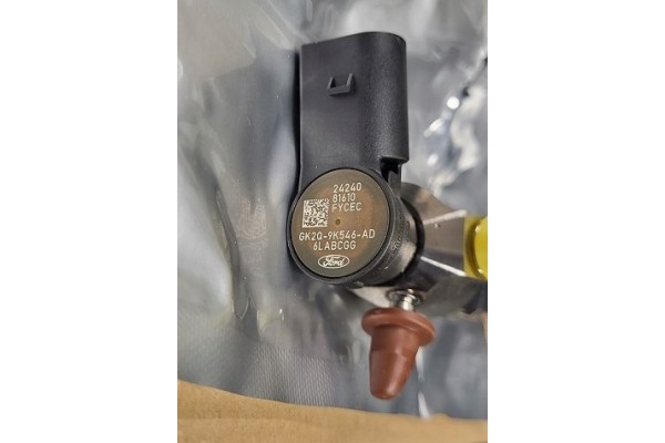 FUEL INJECTOR 2675955 GK2Q9K546 TO FORD 2 0 DIESEL PANTHER ECOBLUE Catalog number of the part X_GK2Q9K546_X