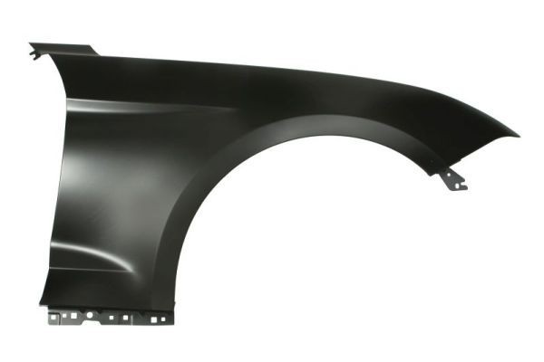 Mudguard front P FORD USA MUSTANG 07 18