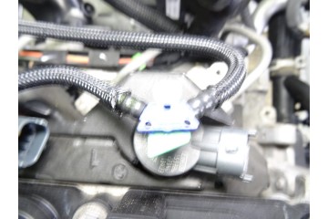 AEDA MOTOR COMPLETO FORD FOCUS SPORTBREAK (CEW)