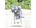 Motor BRE Audi A6 S6 C6 4F 2007 Dañado
