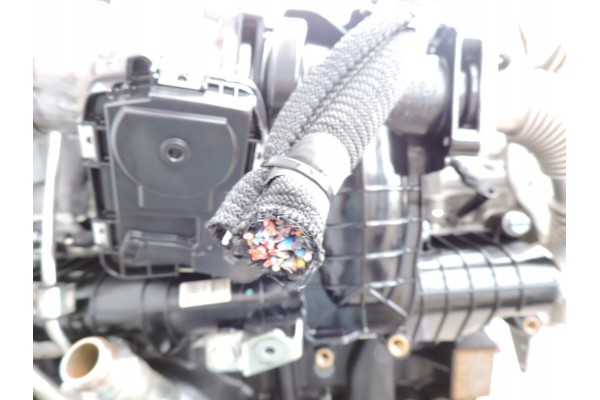 Motor Iveco Daily 2.3 160HP EURO6 F1AGL411S
