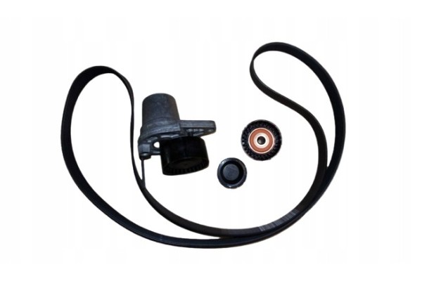 Drive Belt Renault 1 7Dci 117202957R Original