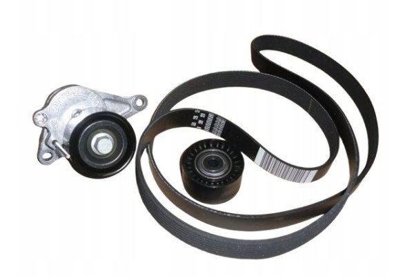 Wedge Strap Set Renault Dacia 117204127R Original