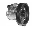 POWER STEERING PUMP RICAMBI PI0356 RENAULT LAGOON AND 93 01 GENERAL Part manufacturer General Ricambi
