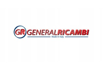 POWER STEERING PUMP RICAMBI PI0356 RENAULT LAGOON AND 93 01 GENERAL Catalog number of the part PI0356