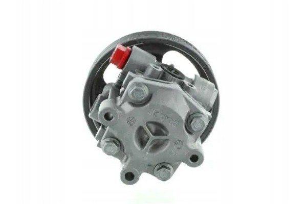 POWER STEERING PUMP 54793 SPIDAN CITROEN JEEP Packaging status original