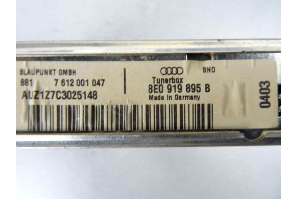 8E0919895B MODULO ELECTRONICO AUDI A4 BERLINA (8E) 2.5 TDI (120kW) 2003 8E0919895B 169875 AUDI - 2