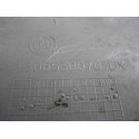 1306530070 MOLDURAS DELANTERAS FIAT DUCATO 3 CAMIÓN 33 1306530070 MOLDURAS DELANTERAS FIAT DUCATO 3 CAMIÓN 33