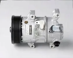 Compresor de Aire Acondicionado DCP50035 Denso