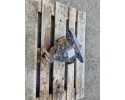 1428464 BMW E39 REAR BRIDGE DIFFERENTIAL 3 07