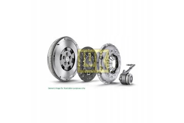 CONJUGATED SET REPSET TWO MASS WHEEL 600005800 LUK Catalog number of the part 600 0058 00