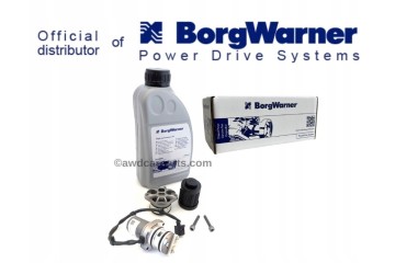 OIL PUMP HALDEX 4 GEN AUDI SEAT VOLKSWAGEN SKODA 119866 Catalog number of the part 119866