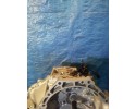 GEARBOX TOYOTA AVENSIS T27 1 6 D4D 6B Part manufacturer Toyota OE