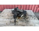 DIFFERENTIAL TOYOTA URBAN CRUISER 1 4 D4D 82169 52010 Catalog number of the part 82169 52010