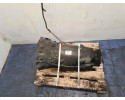 MERCEDES BENZ C 200 CDI AUTOMATIC TRANSMISSION R2202711901
