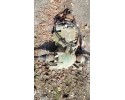 BRIDGE REAR DIFFERENTIAL FORD KUGA MK1 2 0 TDCI HALF AXLE Part manufacturer Ford OE