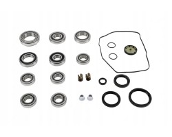 ZEST GEARBOX BEARINGS 462 0057 10 LUK AUDI