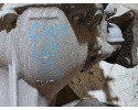 SUZUKI GRAND VITARA 05 08 1 6B DYFER REAR BRIDGE Part manufacturer Suzuki OE