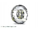 FLYWHEEL 415 0936 10 LUK ALFA ROMEO FIAT Packaging status original
