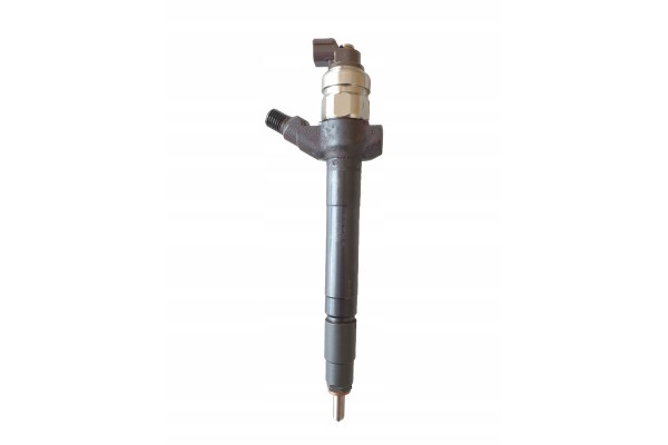 CITROEN FORD 2 2 INJECTOR EAN GTIN 8717613001950