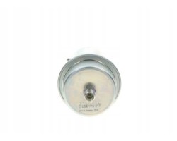 FUEL PRESSURE ACCUMULATOR 0 438 170 017 BOSCH
