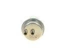 FUEL PRESSURE ACCUMULATOR 0 438 170 024 BOSCH Part manufacturer Bosch