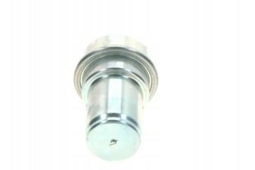 FUEL PRESSURE ACCUMULATOR 0 438 170 024 BOSCH Catalog number of the part 0 438 170 024