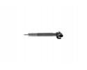 CR piezoelectric injector NISSAN QASHQAI I X TR Engine type diesel