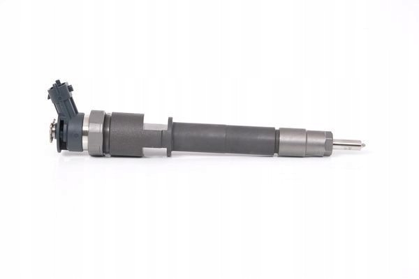 BOSCH 0 445 110 250 Injection nozzle Engine type not specified