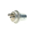 Acumulador de presión de combustible Bosch 0 438 170 042