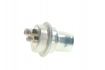 Acumulador de presión de combustible Bosch 0 438 170 042