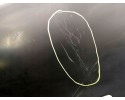 FRONT LEFT FENDER MERCEDES SLK R170 A1708800106 Catalog number of the part 1635007